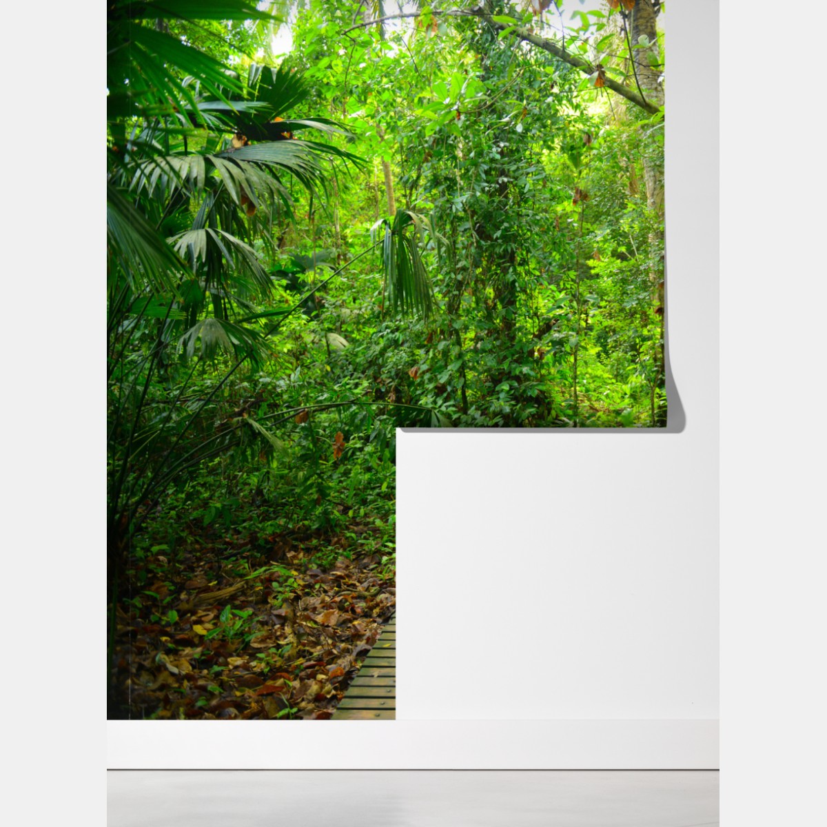 Fototapeta tropikalna kładka w bujnym lesie – Wallissimo® Fototapeta tropikalna kładka w bujnym lesie – Wallissimo®