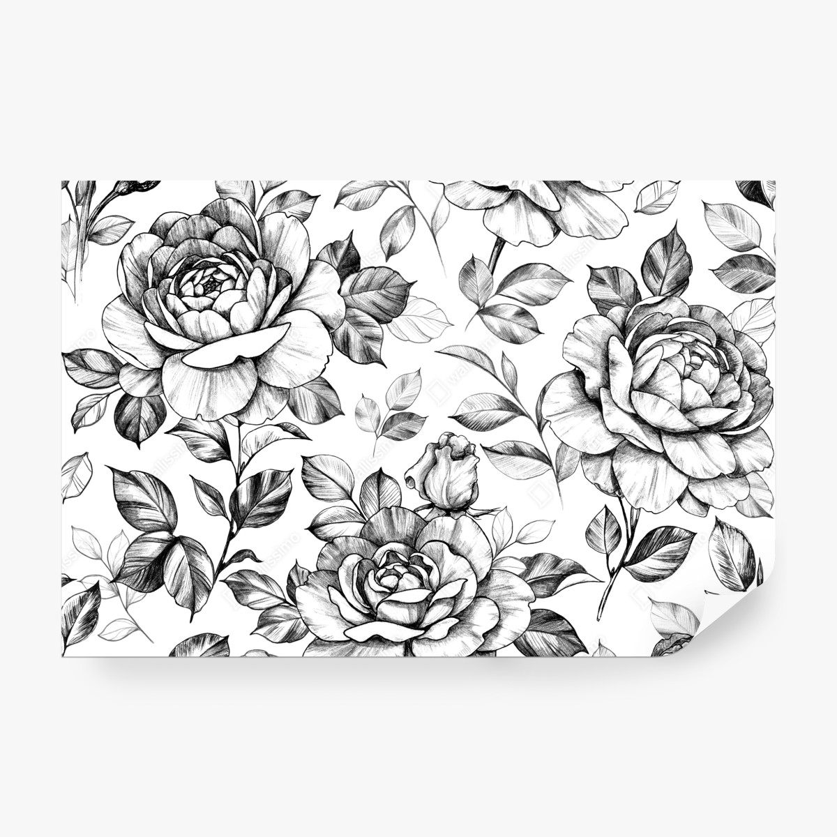 Fototapeta ręcznie rysowany wzór róż – Wallissimo® Fototapeta ręcznie rysowany wzór róż – Wallissimo®