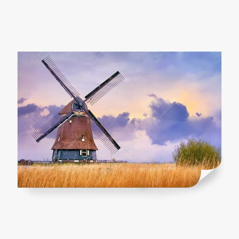 Wall mural historic windmill in golden fields