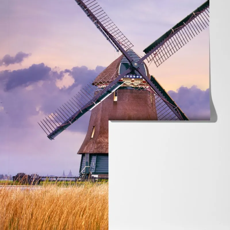 Fototapeta historyczny wiatrak na złotych polach – Wallissimo® Fototapeta historyczny wiatrak na złotych polach – Wallissimo®