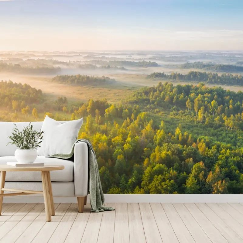 Wall mural foggy morning at Zvanets marsh