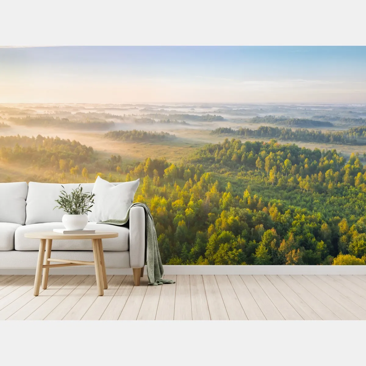 Fototapeta mglista poranna w bagnie Zvanets – Wallissimo® Fototapeta mglista poranna w bagnie Zvanets – Wallissimo®