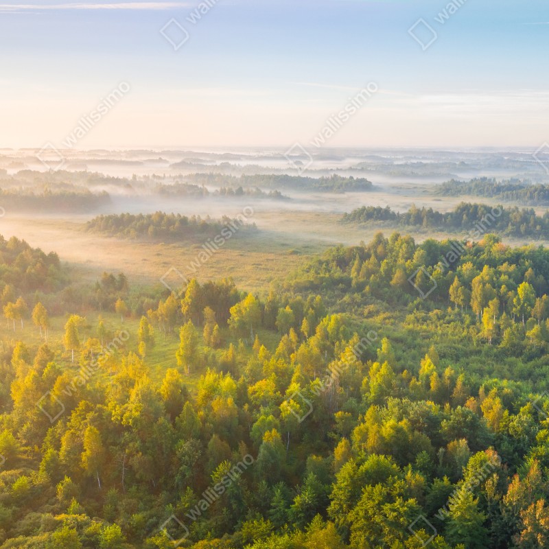 Fototapeta mglista poranna w bagnie Zvanets – Wallissimo® Fototapeta mglista poranna w bagnie Zvanets – Wallissimo®