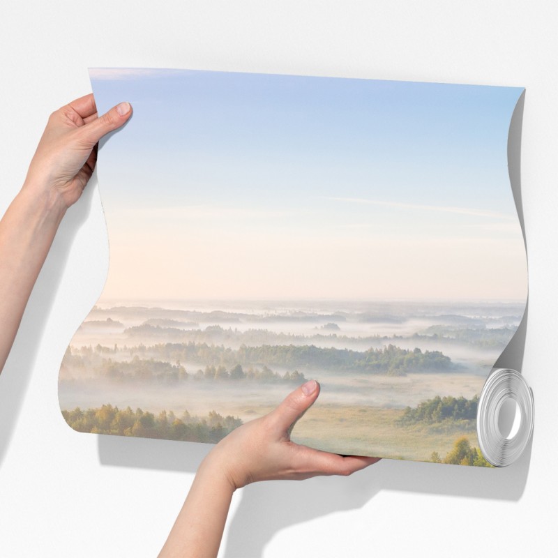 Fototapeta mglista poranna w bagnie Zvanets – Wallissimo® Fototapeta mglista poranna w bagnie Zvanets – Wallissimo®