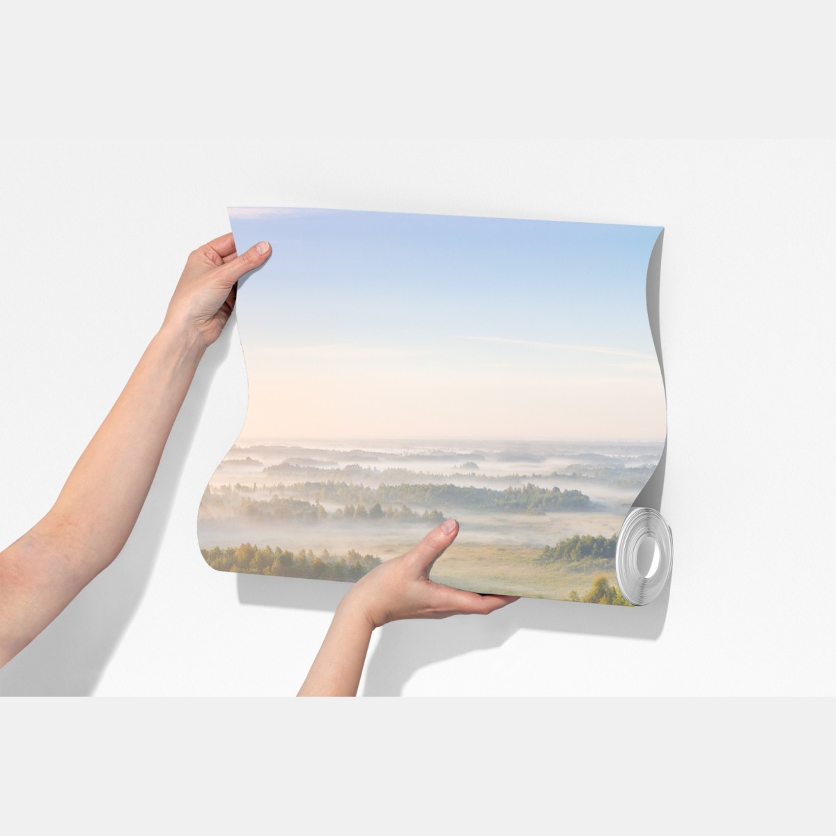 Fototapeta mglista poranna w bagnie Zvanets – Wallissimo® Fototapeta mglista poranna w bagnie Zvanets – Wallissimo®