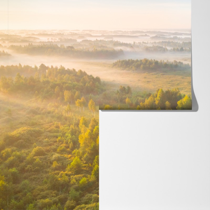 Fototapeta mglista poranna w bagnie Zvanets – Wallissimo® Fototapeta mglista poranna w bagnie Zvanets – Wallissimo®