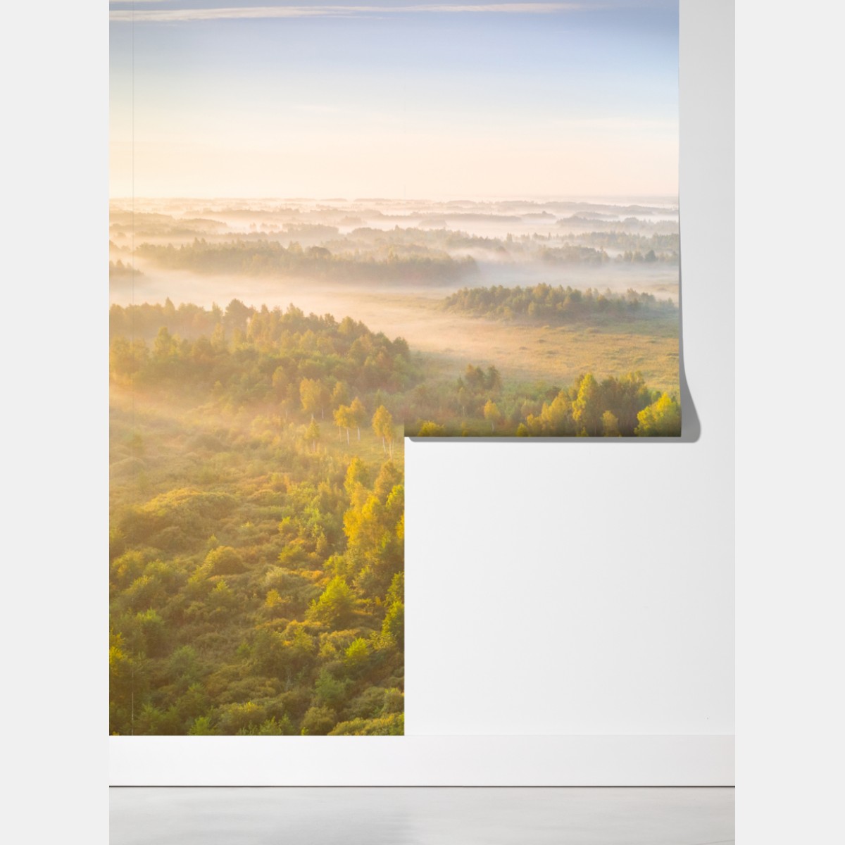 Fototapeta mglista poranna w bagnie Zvanets – Wallissimo® Fototapeta mglista poranna w bagnie Zvanets – Wallissimo®