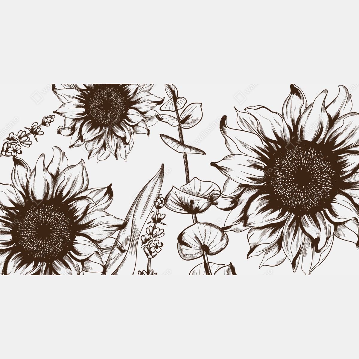 Fototapeta ilustracja botaniczna słonecznik w sepii – Wallissimo® Fototapeta ilustracja botaniczna słonecznik w sepii – Wallissimo®