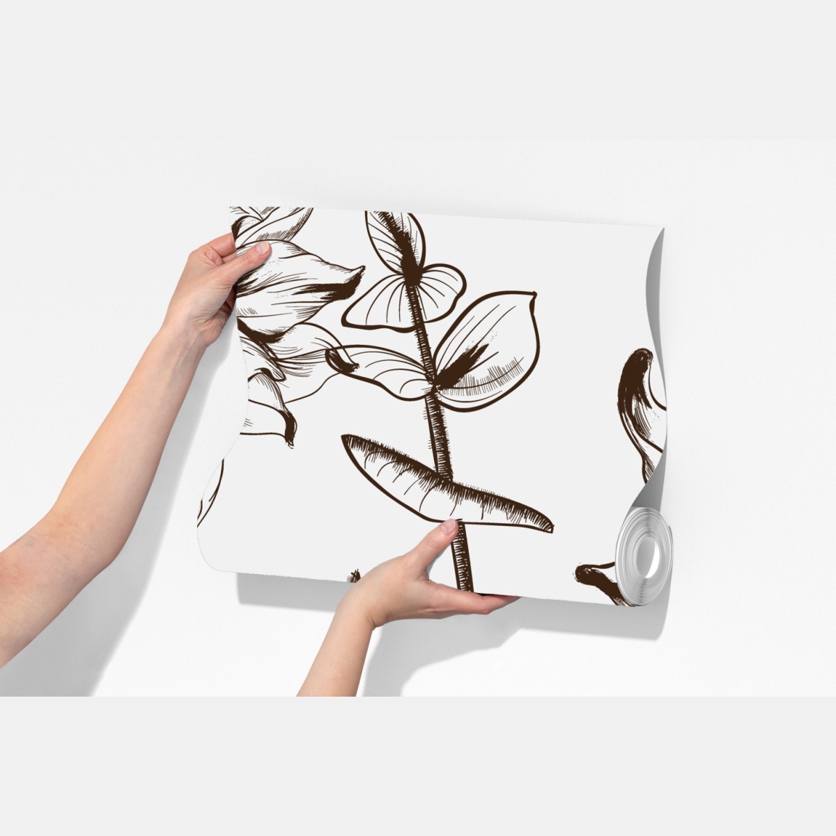 Fototapeta ilustracja botaniczna słonecznik w sepii – Wallissimo® Fototapeta ilustracja botaniczna słonecznik w sepii – Wallissimo®