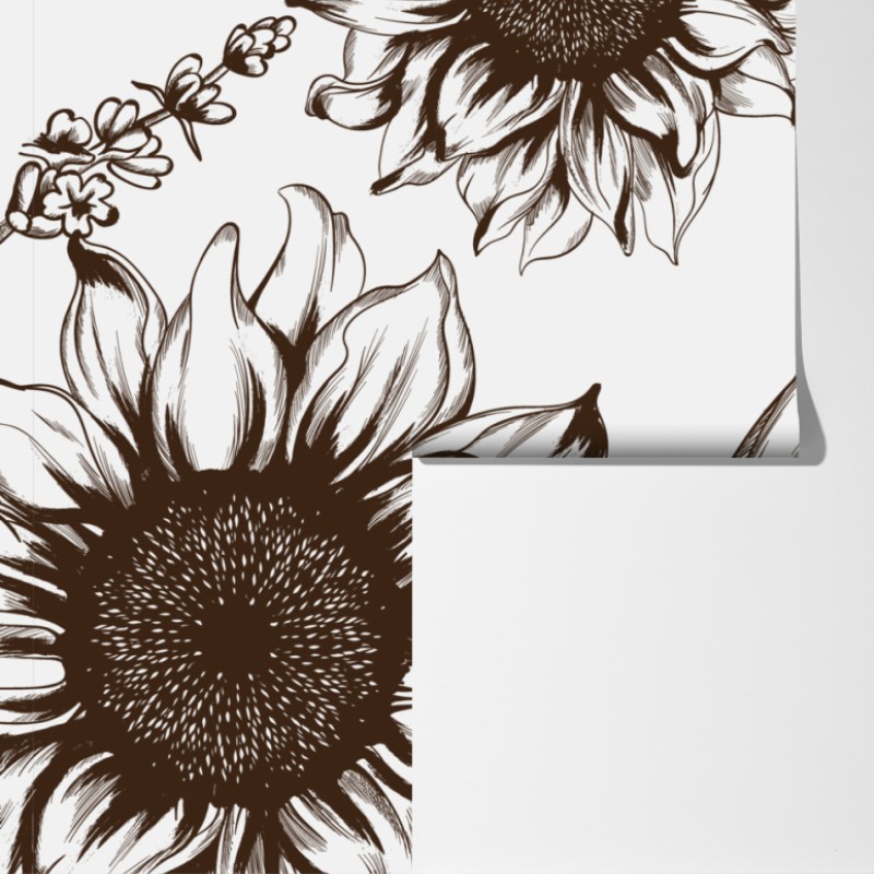 Fototapeta ilustracja botaniczna słonecznik w sepii – Wallissimo® Fototapeta ilustracja botaniczna słonecznik w sepii – Wallissimo®