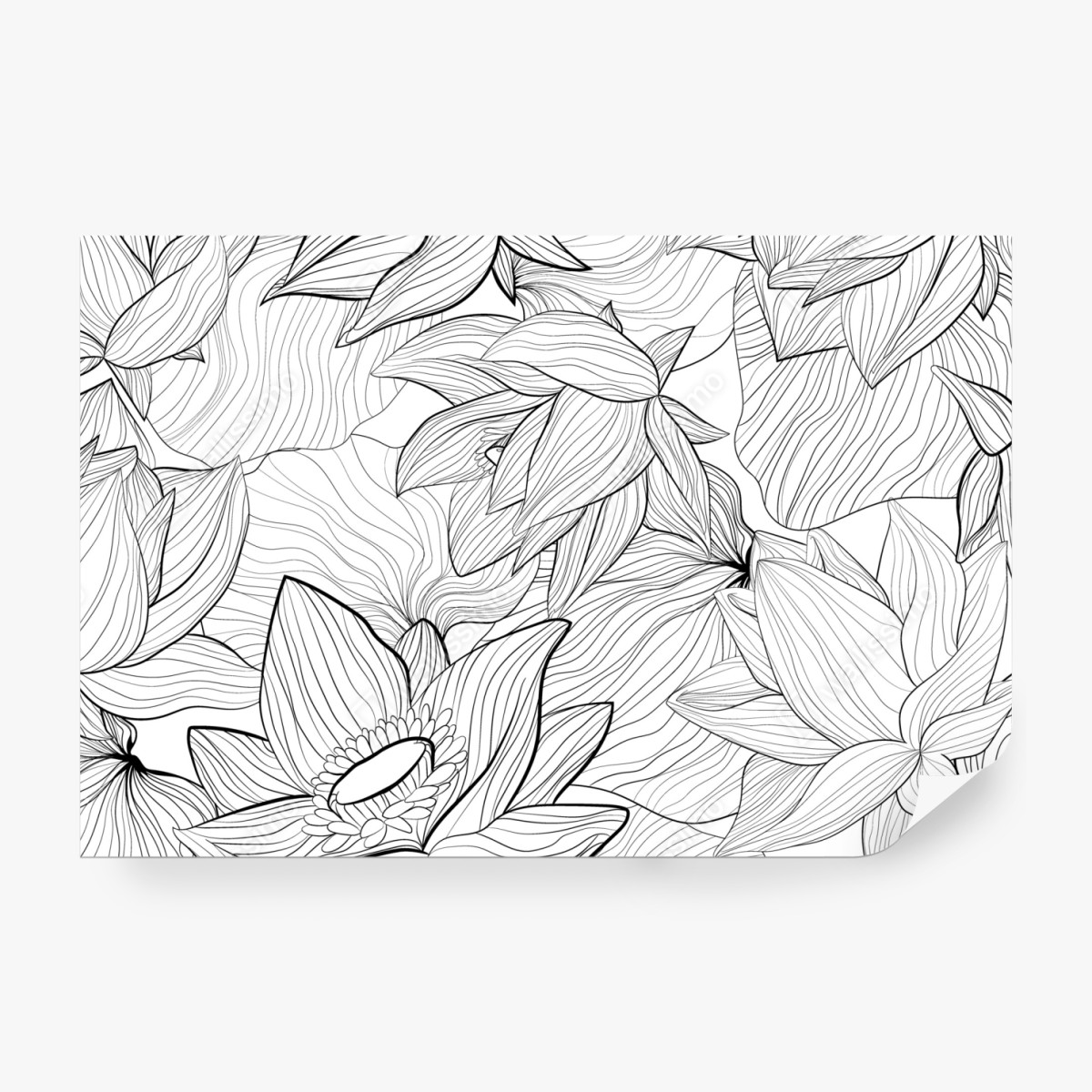 Fototapeta delikatny rysunek lotosu w czerni i bieli – Wallissimo® Fototapeta delikatny rysunek lotosu w czerni i bieli – Wallissimo®