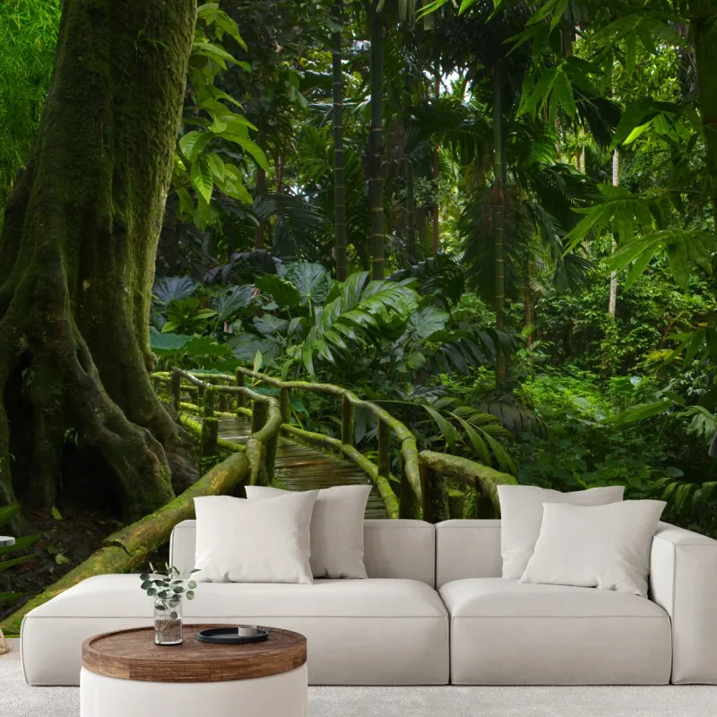 Wall mural tranquil jungle boardwalk through lush rainforest