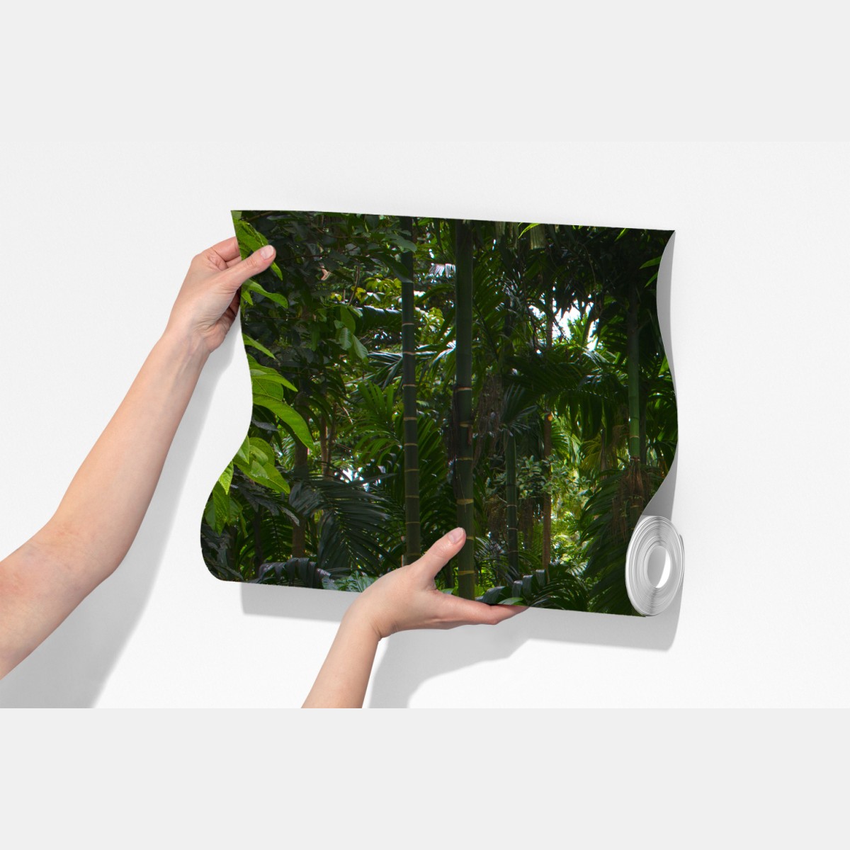 Fototapeta spokojna kładka w dżungli przez bujny las deszczowy – Wallissimo® Fototapeta spokojna kładka w dżungli przez bujny las deszczowy – Wallissimo®