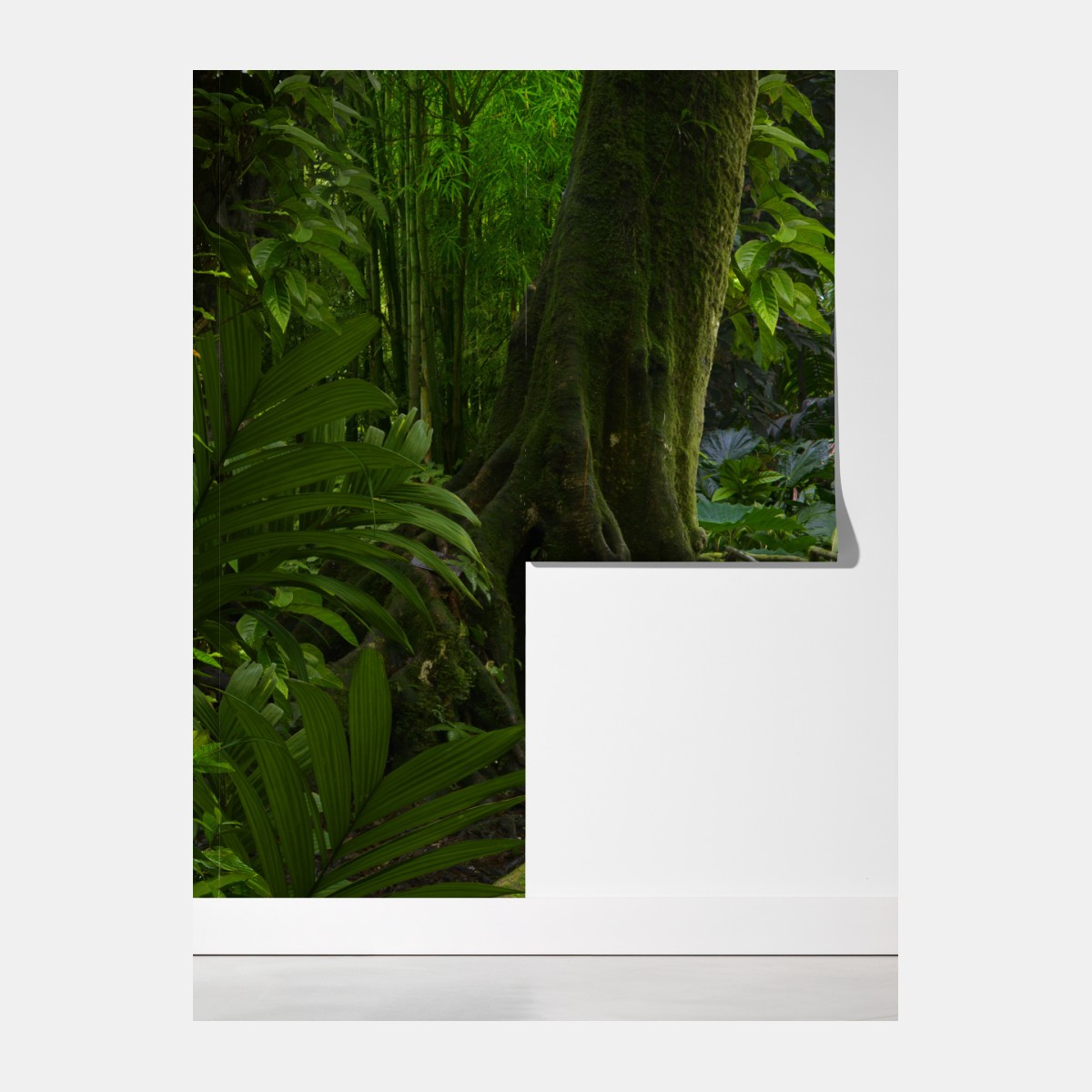 Fototapeta spokojna kładka w dżungli przez bujny las deszczowy – Wallissimo® Fototapeta spokojna kładka w dżungli przez bujny las deszczowy – Wallissimo®