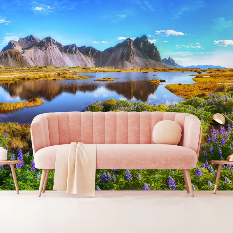 Fototapeta żywe łubinowe łąki przy Vestrahorn, Islandia – Wallissimo® Fototapeta żywe łubinowe łąki przy Vestrahorn, Islandia – Wallissimo®