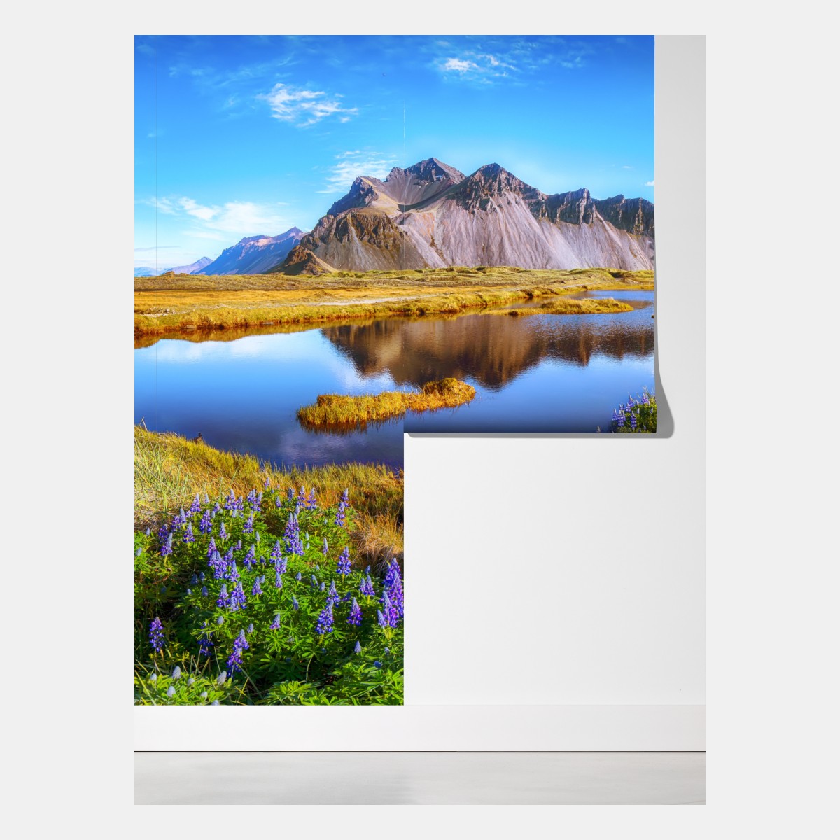 Fototapeta żywe łubinowe łąki przy Vestrahorn, Islandia – Wallissimo® Fototapeta żywe łubinowe łąki przy Vestrahorn, Islandia – Wallissimo®