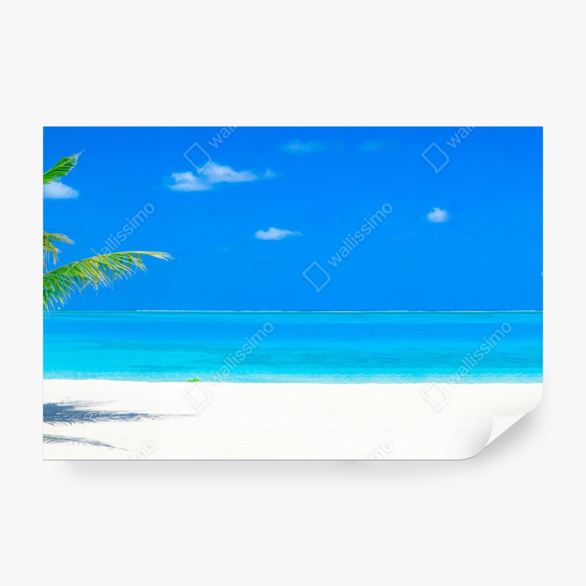 Fototapeta Malediwy tropikalna plaża raj – Wallissimo® Fototapeta Malediwy tropikalna plaża raj – Wallissimo®