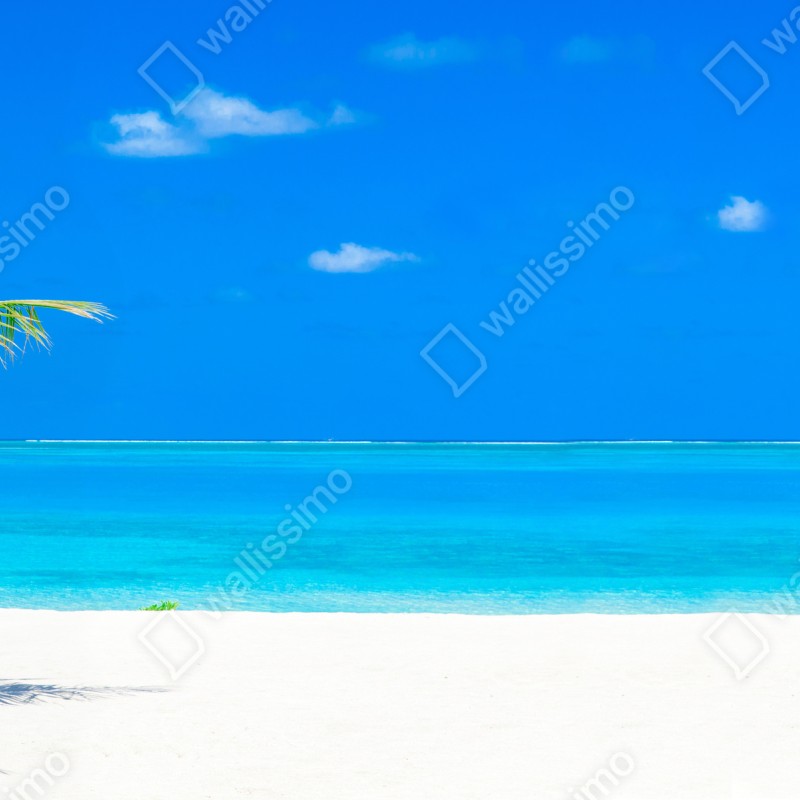 Fototapeta Malediwy tropikalna plaża raj – Wallissimo® Fototapeta Malediwy tropikalna plaża raj – Wallissimo®