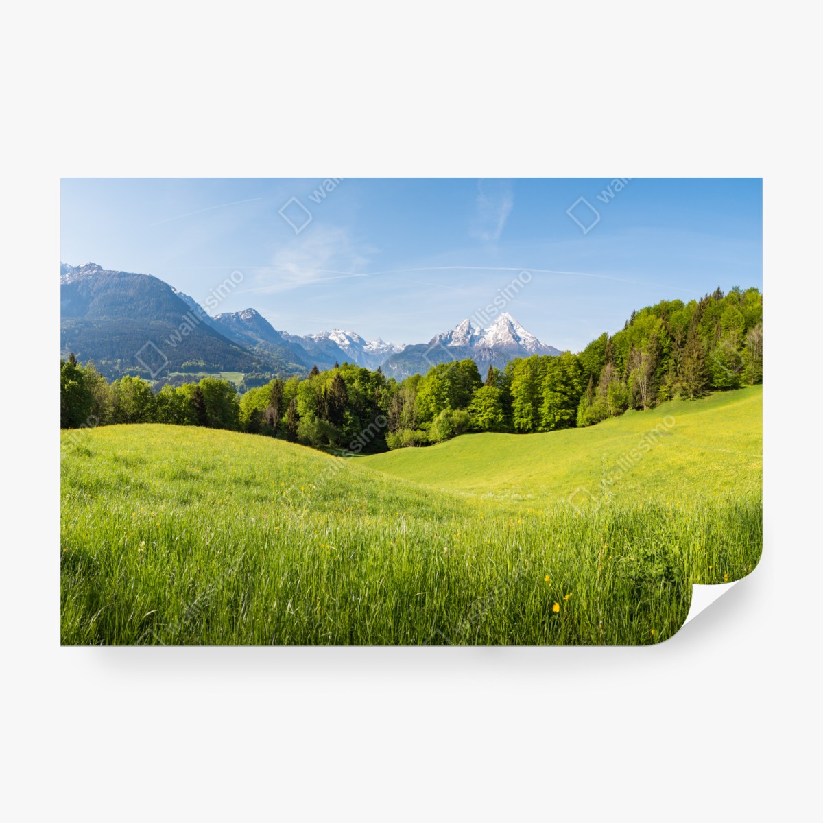 Fototapeta spokojna alpejska łąka w panoramie – Wallissimo® Fototapeta spokojna alpejska łąka w panoramie – Wallissimo®