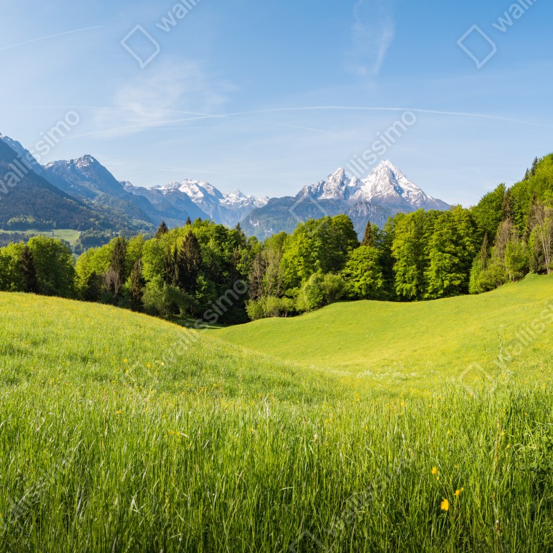 Fototapeta spokojna alpejska łąka w panoramie – Wallissimo® Fototapeta spokojna alpejska łąka w panoramie – Wallissimo®