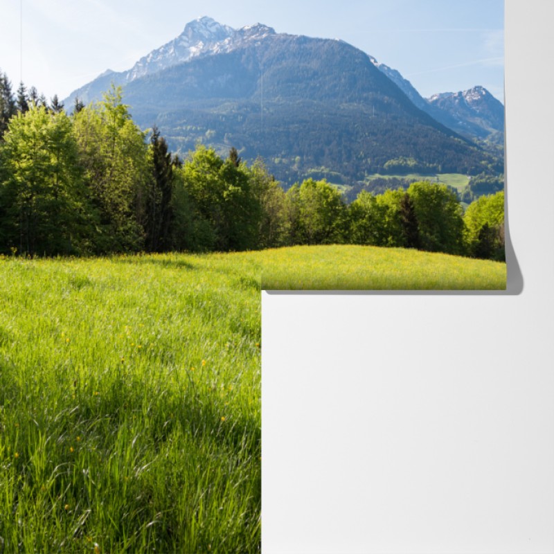 Fototapeta spokojna alpejska łąka w panoramie – Wallissimo® Fototapeta spokojna alpejska łąka w panoramie – Wallissimo®