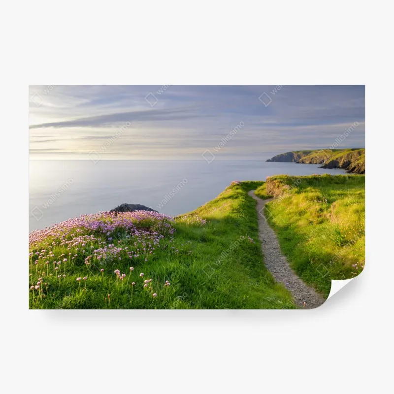 Fototapeta plaża Las Teresitas, panorama Teneryfy – Wallissimo®