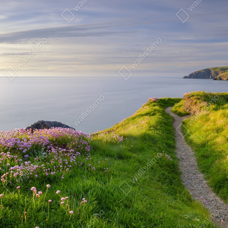 Fototapeta zatoka Ceibwr ścieżka nadmorska o zmierzchu – Wallissimo® Fototapeta zatoka Ceibwr ścieżka nadmorska o zmierzchu – Wallissimo®
