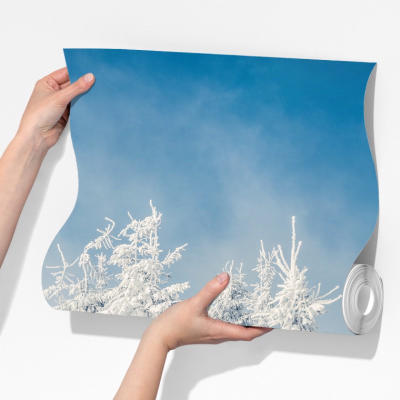 Fototapeta panorama zimowego lasu pokrytego śniegiem – Wallissimo® Fototapeta panorama zimowego lasu pokrytego śniegiem – Wallissimo®