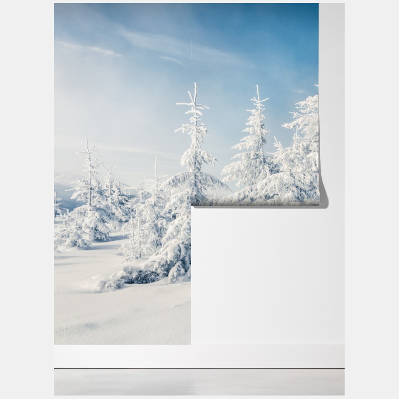 Fototapeta panorama zimowego lasu pokrytego śniegiem – Wallissimo® Fototapeta panorama zimowego lasu pokrytego śniegiem – Wallissimo®