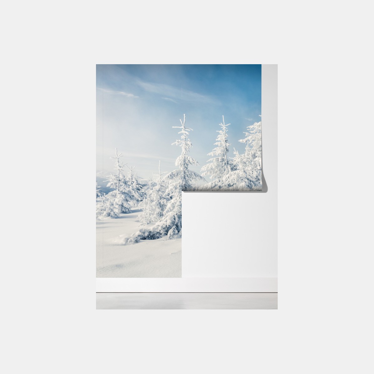 Fototapeta panorama zimowego lasu pokrytego śniegiem – Wallissimo® Fototapeta panorama zimowego lasu pokrytego śniegiem – Wallissimo®