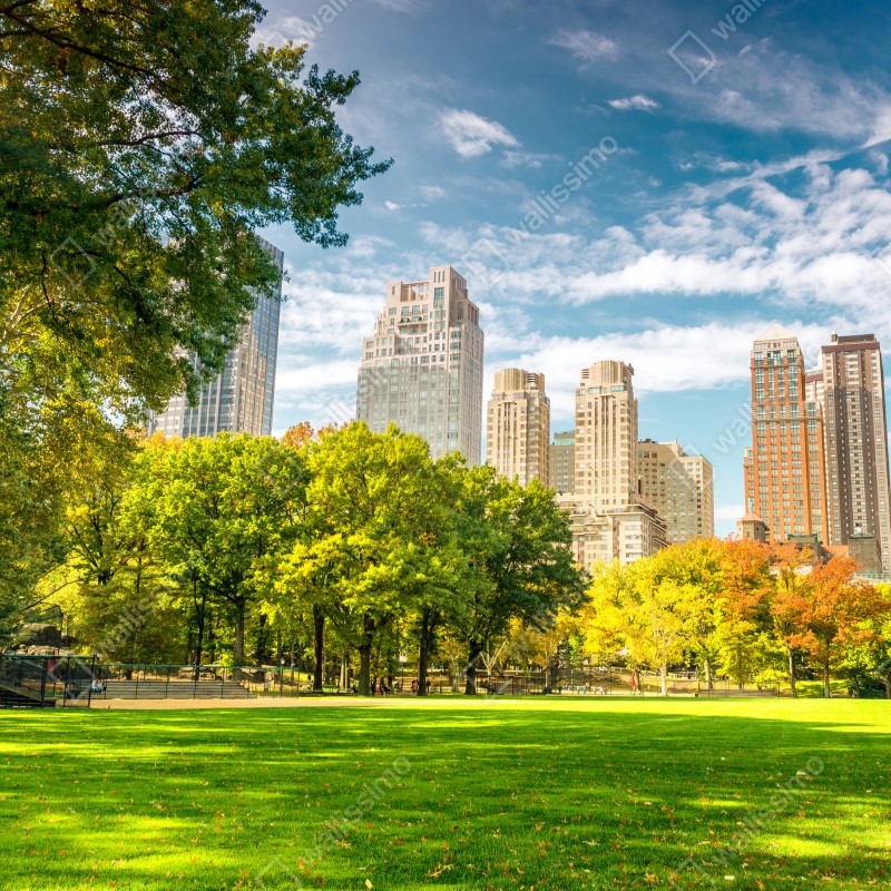 Fototapeta Central Park jesienna panorama – Wallissimo® Fototapeta Central Park jesienna panorama – Wallissimo®