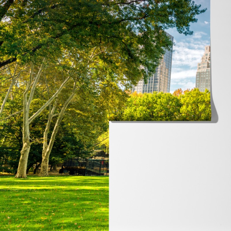 Fototapeta Central Park jesienna panorama – Wallissimo® Fototapeta Central Park jesienna panorama – Wallissimo®