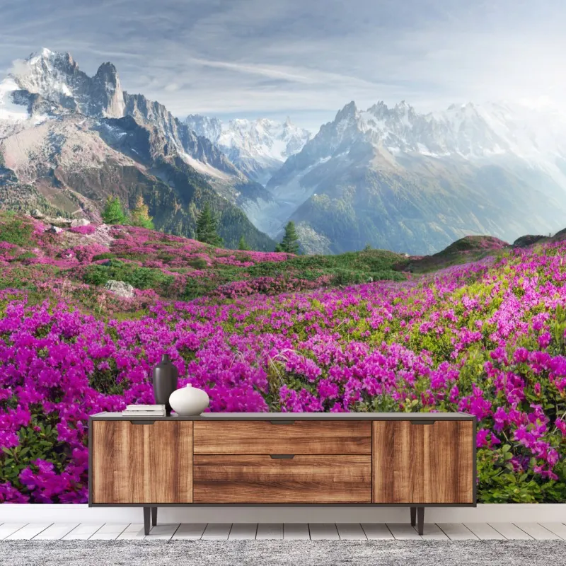 Wall mural alpine rhododendron meadow at Mont Blanc