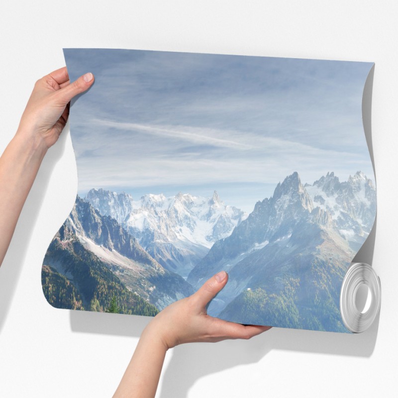 Fototapeta alpejska łąka różaneczników przy Mont Blanc – Wallissimo® Fototapeta alpejska łąka różaneczników przy Mont Blanc – Wallissimo®