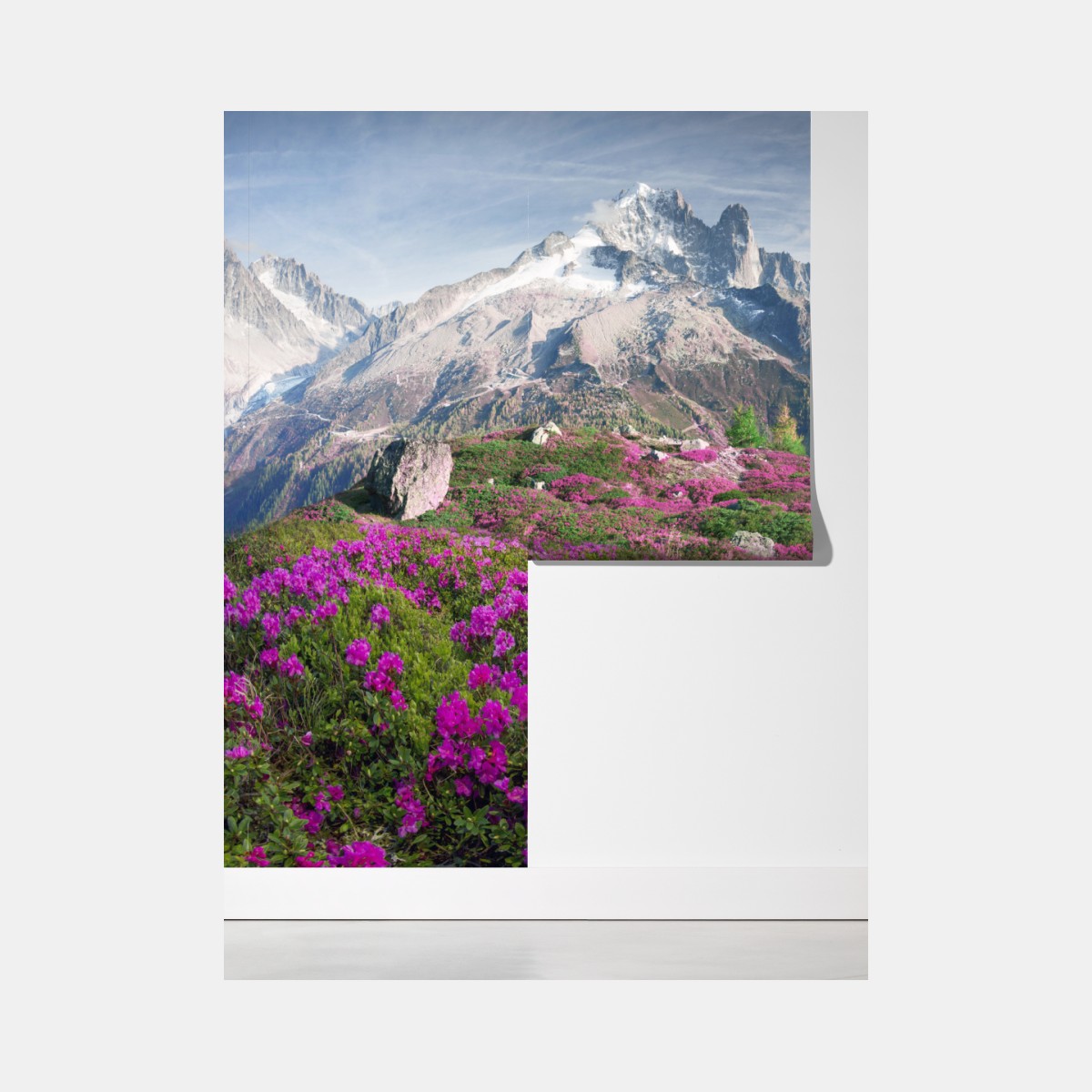 Fototapeta alpejska łąka różaneczników przy Mont Blanc – Wallissimo® Fototapeta alpejska łąka różaneczników przy Mont Blanc – Wallissimo®