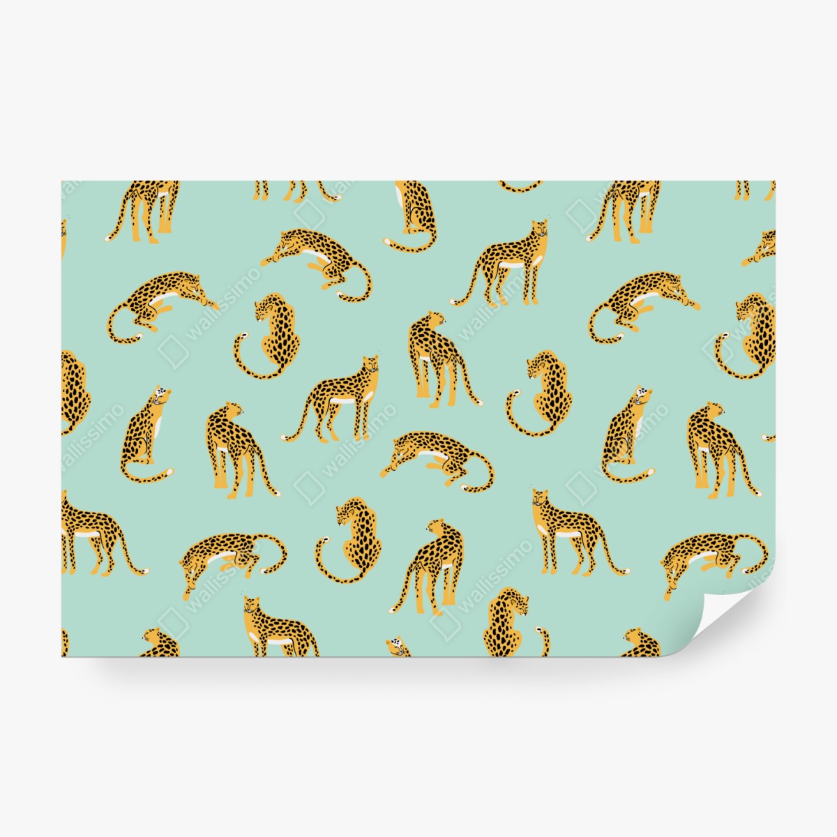 Fototapeta zabawny wzór gepardów na turkusowym tle – Wallissimo® Fototapeta zabawny wzór gepardów na turkusowym tle – Wallissimo®