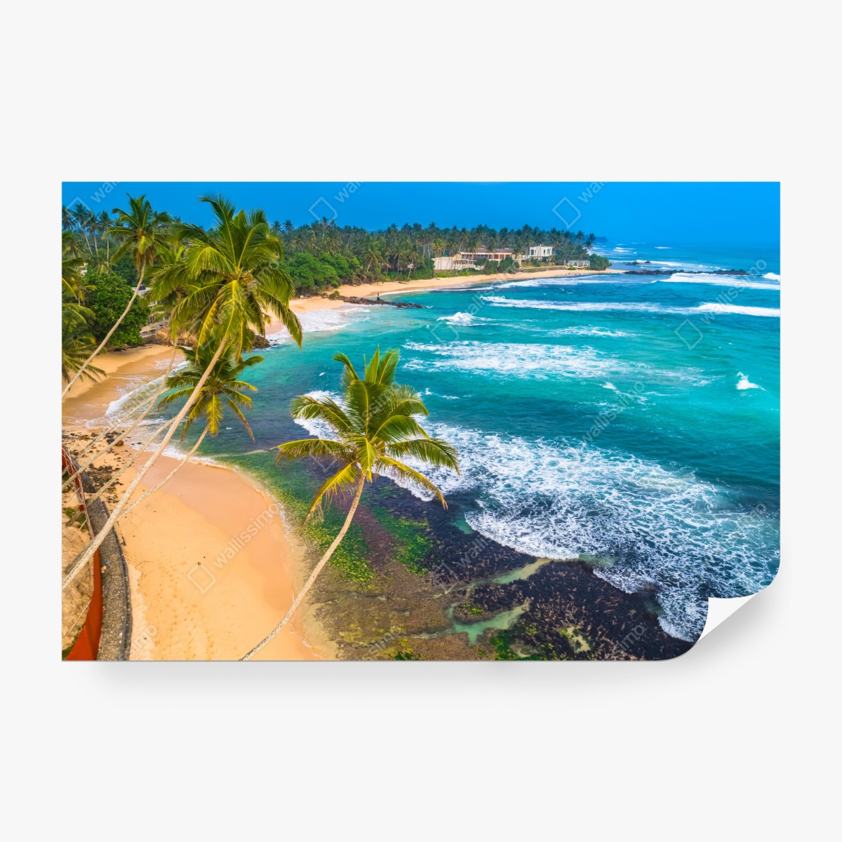 Fototapeta turkusowe tropikalne wybrzeże z palmami – Wallissimo® Fototapeta turkusowe tropikalne wybrzeże z palmami – Wallissimo®