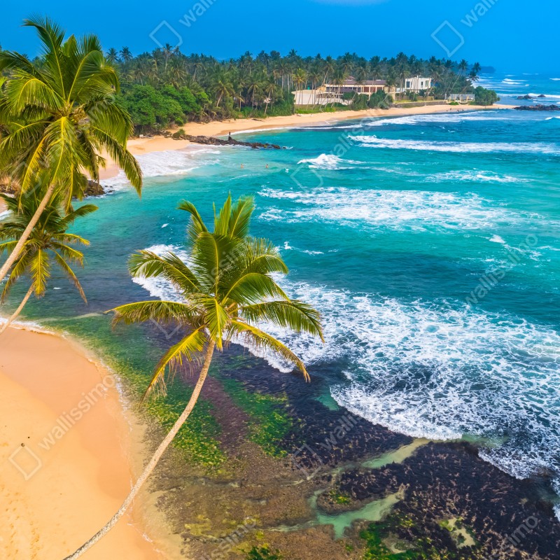 Fototapeta turkusowe tropikalne wybrzeże z palmami – Wallissimo® Fototapeta turkusowe tropikalne wybrzeże z palmami – Wallissimo®