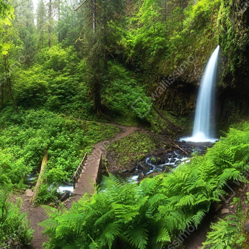 Fototapeta bujny leśny wodospad panorama – Wallissimo® Fototapeta bujny leśny wodospad panorama – Wallissimo®
