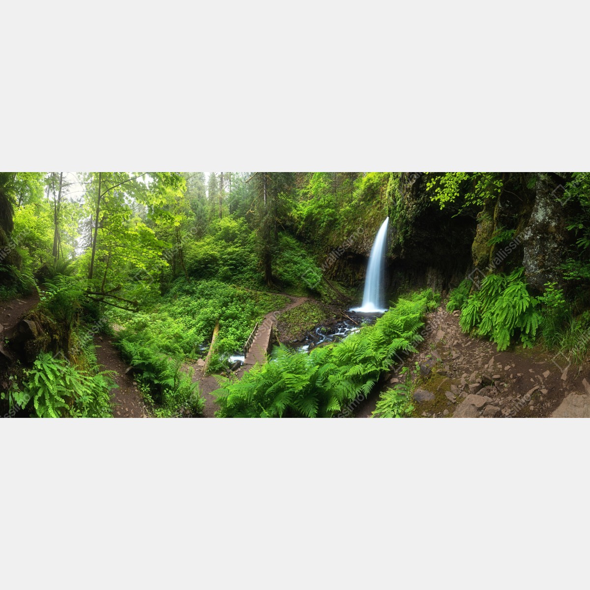 Fototapeta bujny leśny wodospad panorama – Wallissimo® Fototapeta bujny leśny wodospad panorama – Wallissimo®