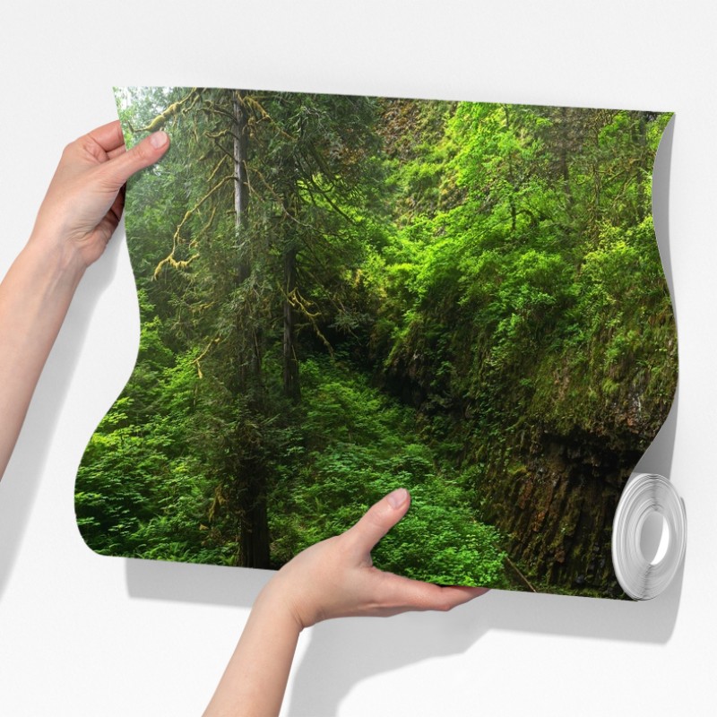 Fototapeta bujny leśny wodospad panorama – Wallissimo® Fototapeta bujny leśny wodospad panorama – Wallissimo®