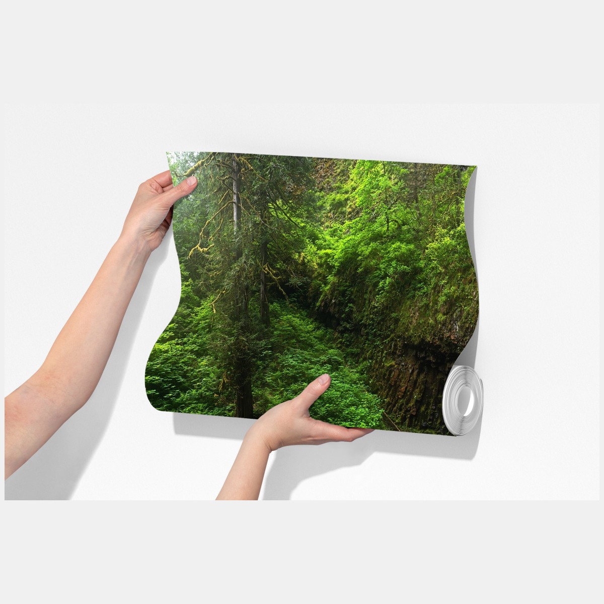 Fototapeta bujny leśny wodospad panorama – Wallissimo® Fototapeta bujny leśny wodospad panorama – Wallissimo®