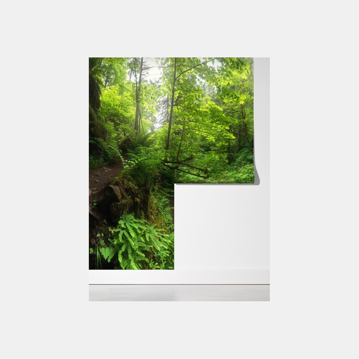 Fototapeta bujny leśny wodospad panorama – Wallissimo® Fototapeta bujny leśny wodospad panorama – Wallissimo®