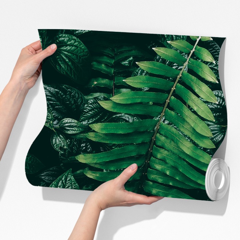 Fototapeta bujne tropikalne liście – Wallissimo® Fototapeta bujne tropikalne liście – Wallissimo®