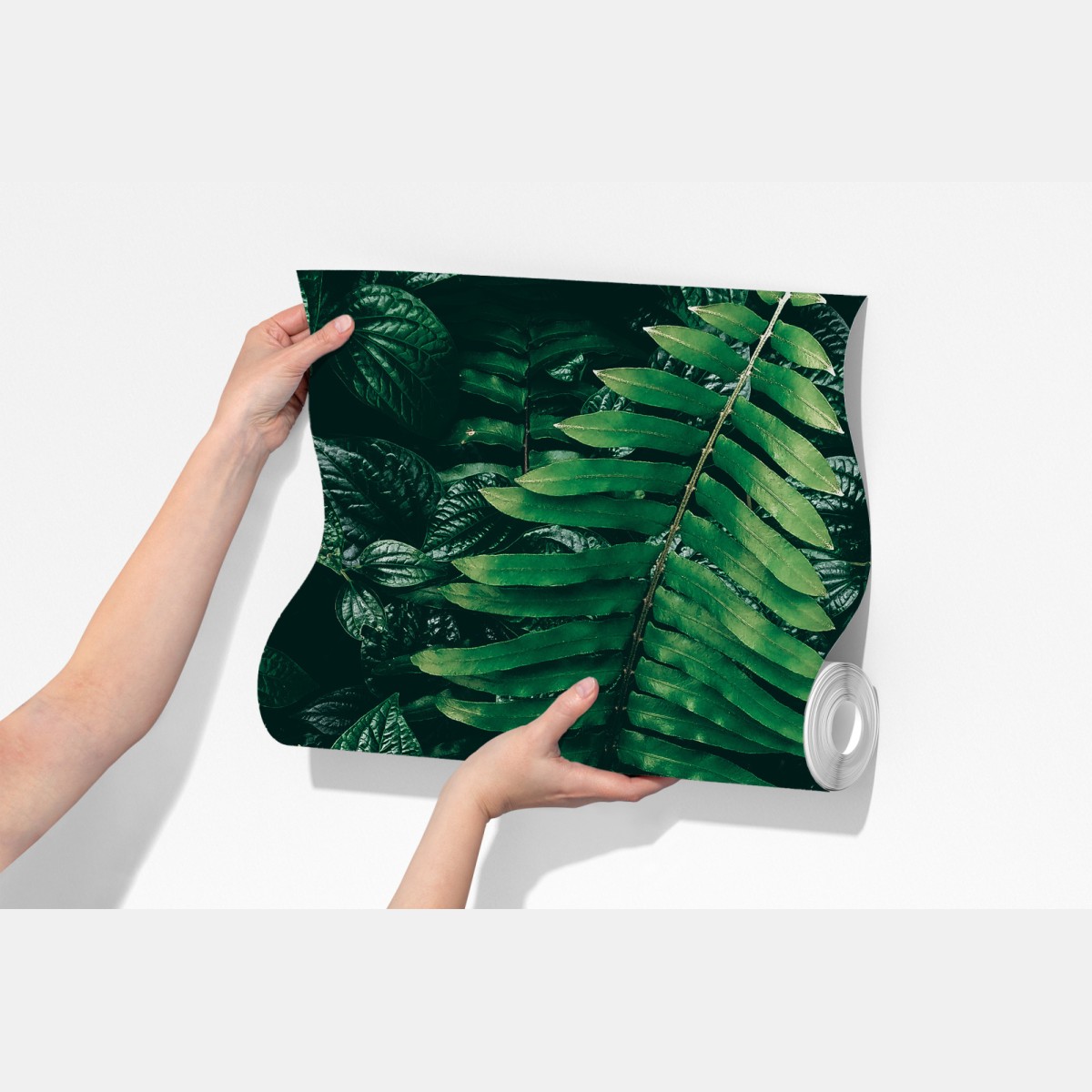 Fototapeta bujne tropikalne liście – Wallissimo® Fototapeta bujne tropikalne liście – Wallissimo®