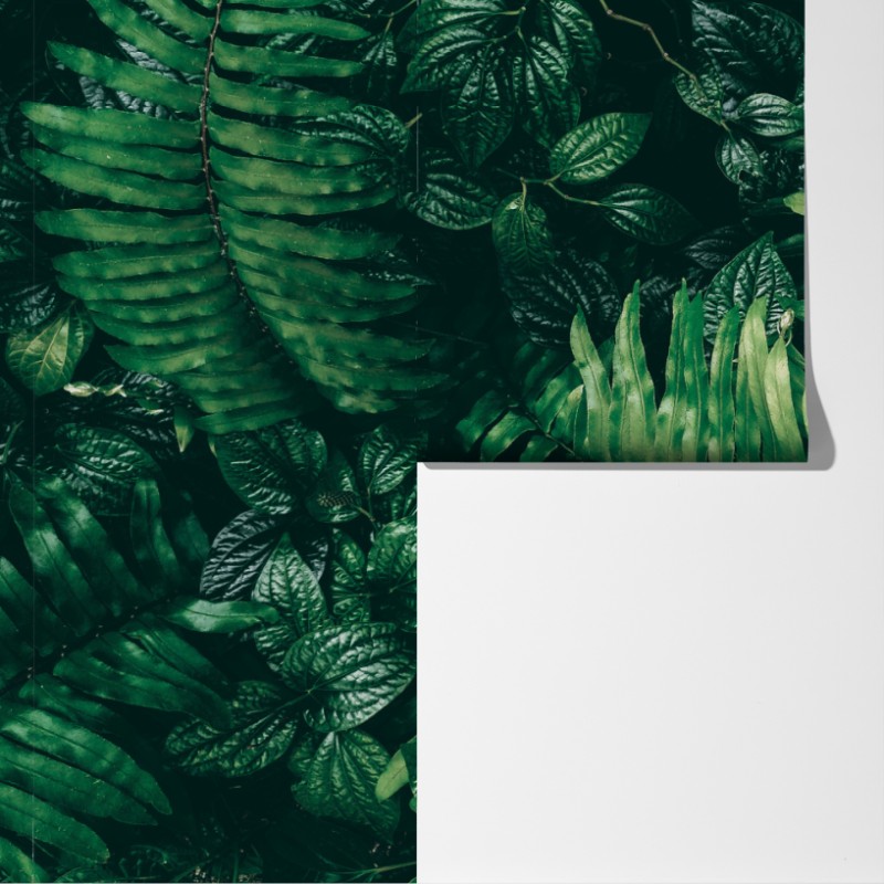 Fototapeta bujne tropikalne liście – Wallissimo® Fototapeta bujne tropikalne liście – Wallissimo®