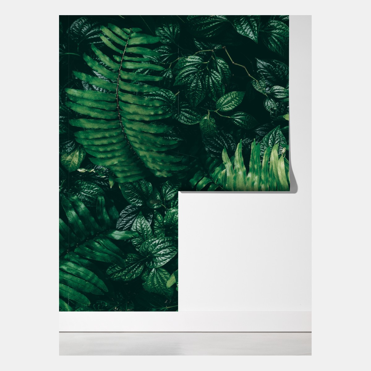 Fototapeta bujne tropikalne liście – Wallissimo® Fototapeta bujne tropikalne liście – Wallissimo®