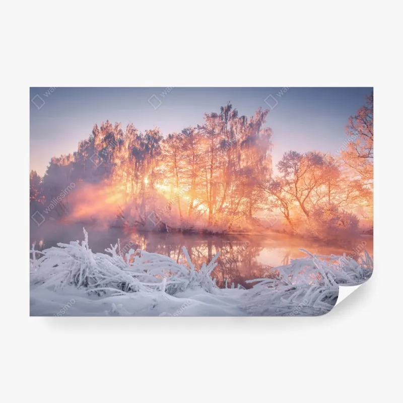 Fototapeta wesołe mewy na pastelowych łukach – Wallissimo®