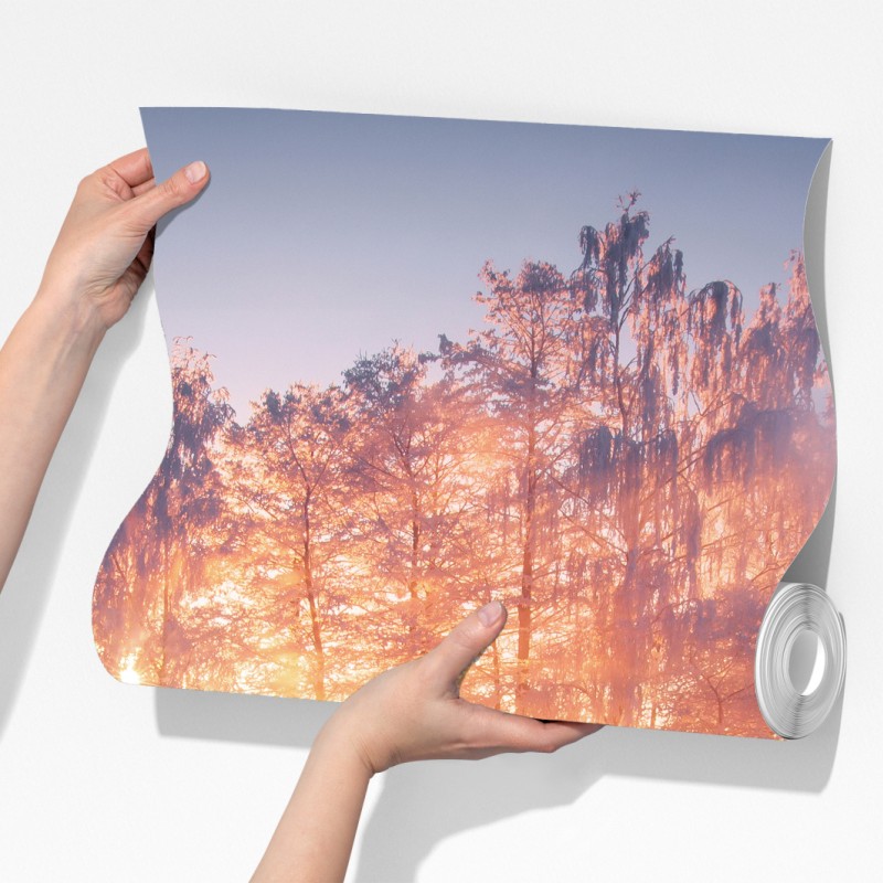 Fototapeta zimowy wschód słońca nad zamarzniętą rzeką – Wallissimo® Fototapeta zimowy wschód słońca nad zamarzniętą rzeką – Wallissimo®