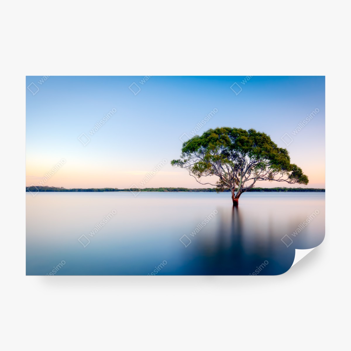 Fototapeta samotne drzewo nad spokojnym jeziorem – Wallissimo® Fototapeta samotne drzewo nad spokojnym jeziorem – Wallissimo®